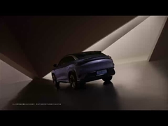 シーライオン 07 EV 2024 550 四輪駆動 スマートエア バージョン 5 ドア 5 シート SUV